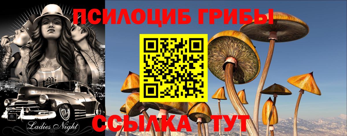Ахтубинск  Галлюциногенные грибы Psilocybine cubensis  Вход с VPN 